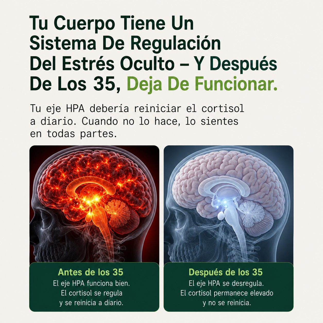 NAD Resveratrol - Cápsulas de Reparación Celular Antienvejecimiento y Energía Extra 120 Cápsulas